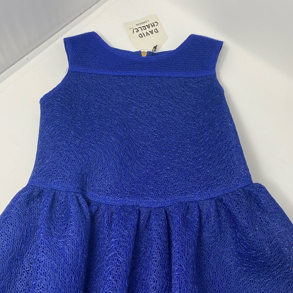 David Charles Other - DAVID CHARLES***Gorgeous Blue Dress**Size 4 $180